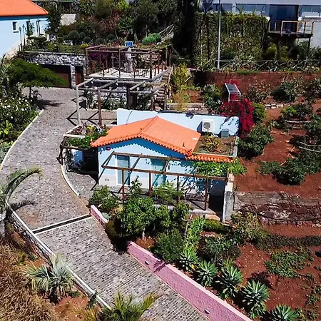 Flh Blue View Gardens Funchal